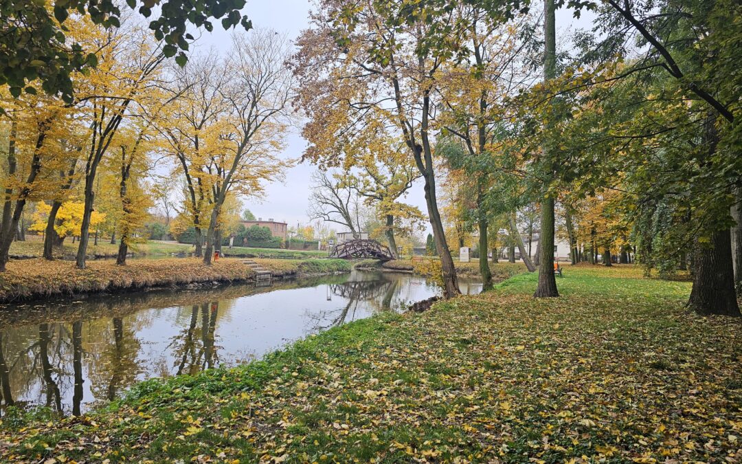 Zajęcia outdoor w parku