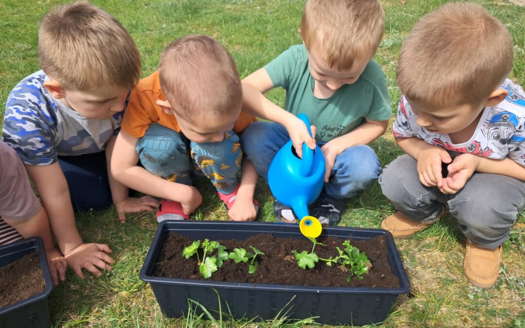 Zajęcia autdoorowe – sadzenie kwiatów 🌱🪴