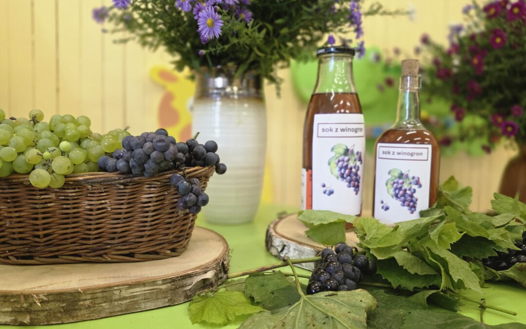 Zajęcia sensoryczne w grupie „Tropiciele” – jesienne zbiory winogron 🍇