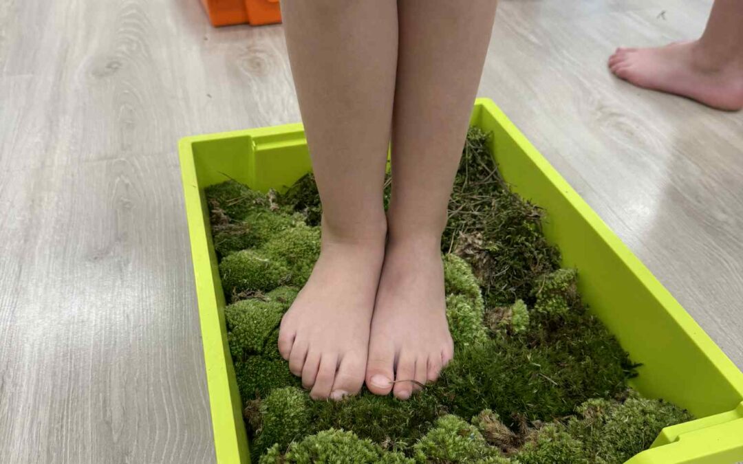 Ogólnopolski Projekt Edukacyjne „Jestem małym przyjacielem przyrody” – zajęcia sensoryczne.