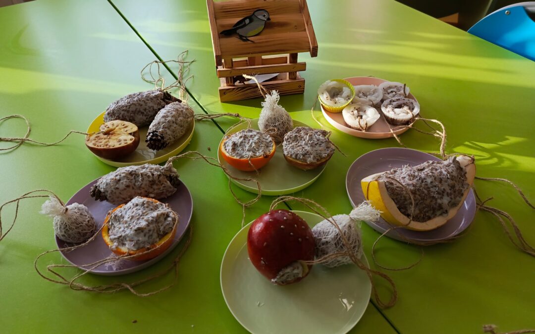 „Tropiciele” dokarmiają ptaki 🐦‍⬛