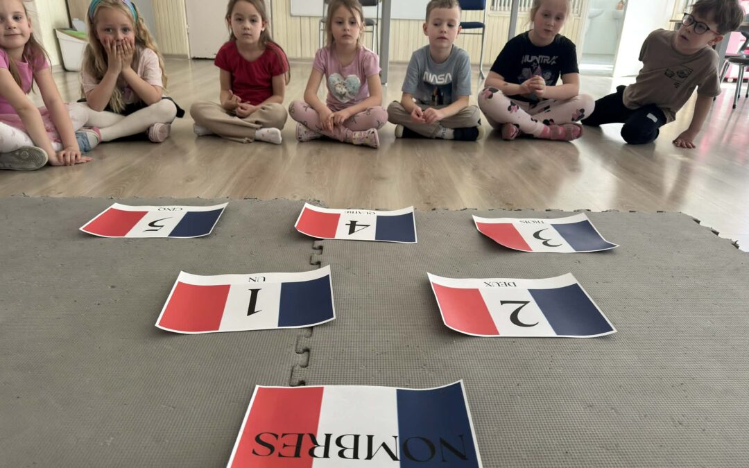 Ogólnopolski Projekt Edukacyjny „Europa i ja” 🇫🇷