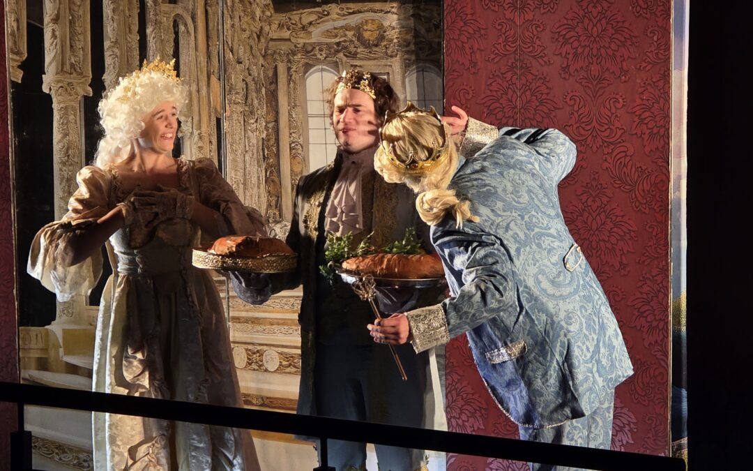 Musical „Księżniczka na ziarnku grochu”.