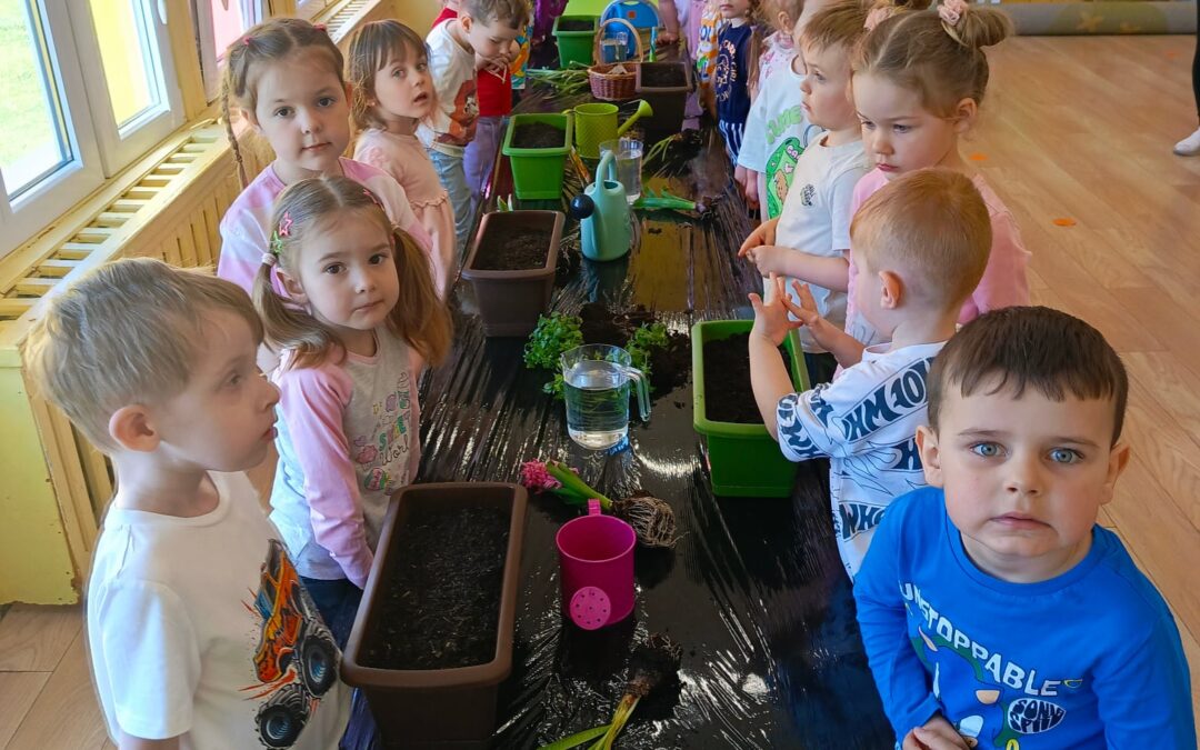 „Tropiciele” poznają roślinki 🪻🌷