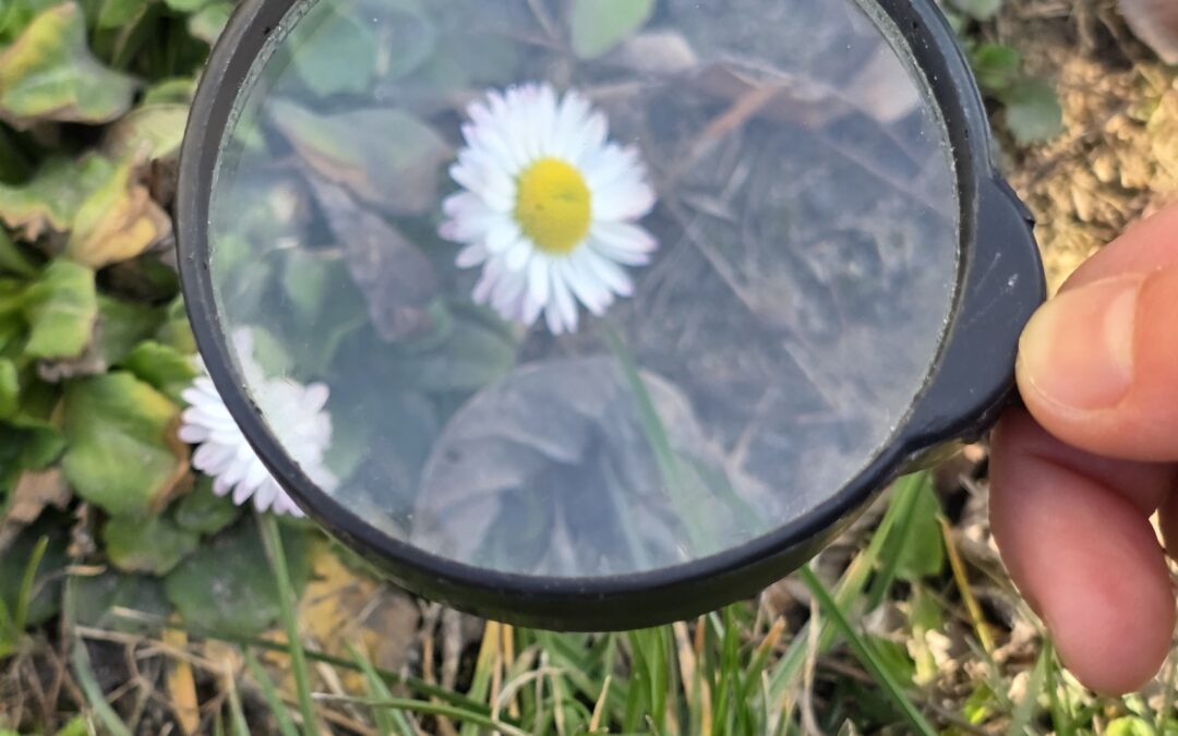 Zajęcia outdoorowe w terenie z lupami 🔍