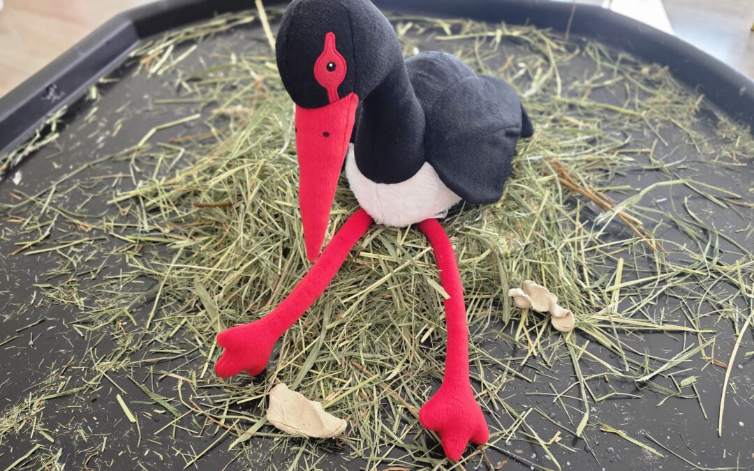 Zajęcia sensoryczne z tworzenia gniazda dla grupowego bociona Czarusia🪶