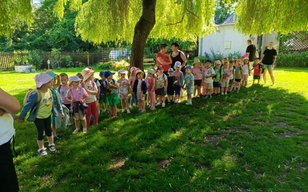 Wycieczka do Czarodziejska w Brodach Dużych – dzień pełen przygód i nauki 🐑🐐🦙