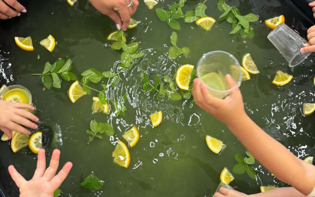 Zajęcia sensoryczne – świat cytrusowych zapachów 🍋